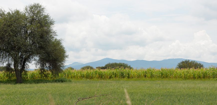 Rancho near Poligono Empresarial de San Miguel
