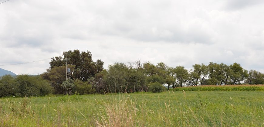 Rancho near Poligono Empresarial de San Miguel