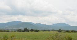 Rancho near Poligono Empresarial de San Miguel