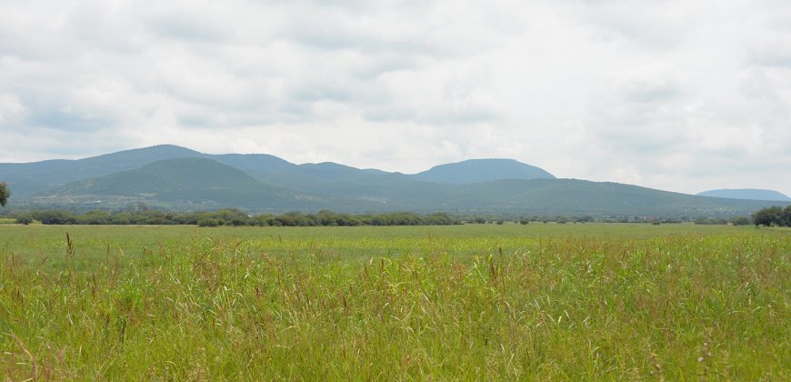Rancho near Poligono Empresarial de San Miguel