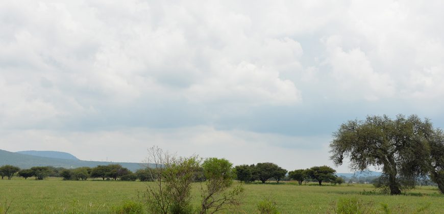 Rancho near Poligono Empresarial de San Miguel