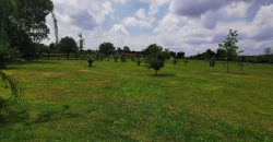 Countryside Estate near San Miguel