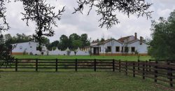 Countryside Estate near San Miguel