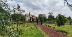 Countryside Estate near San Miguel