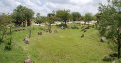 Haciendas de San Miguel  |  “HACIENDAS”